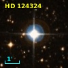 HD 124324
