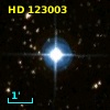 HD 123003