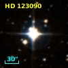 HD 123090