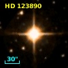 HD 123890