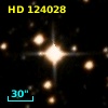 HD 124028