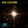 HD 123790