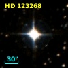 HD 123268