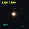 LHS  2890