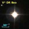 V* DR Boo