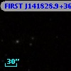 FIRST J141828.9+363945