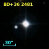 BD+36  2481