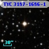TYC 3187-1686-1