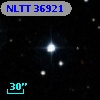 NLTT 36921