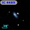 IC 4409