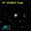 V* V1017 Cas
