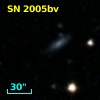 SN 2005bv