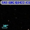 SAS-LBG Q1422-C16