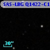 SAS-LBG Q1422-C19
