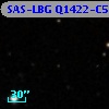 SAS-LBG Q1422-C53