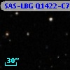 SAS-LBG Q1422-C75