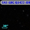 SAS-LBG Q1422-D9