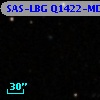 SAS-LBG Q1422-MD9