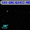SAS-LBG Q1422-MD17
