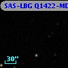 SAS-LBG Q1422-MD41