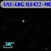 SAS-LBG Q1422-MD42