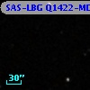 SAS-LBG Q1422-MD44