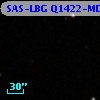 SAS-LBG Q1422-MD51