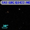 SAS-LBG Q1422-MD65