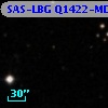 SAS-LBG Q1422-MD81