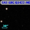SAS-LBG Q1422-MD95