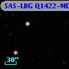 SAS-LBG Q1422-MD99