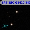 SAS-LBG Q1422-MD101