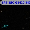 SAS-LBG Q1422-MD113