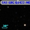 SAS-LBG Q1422-MD115