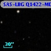 SAS-LBG Q1422-MD124