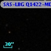 SAS-LBG Q1422-MD125