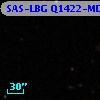 SAS-LBG Q1422-MD127