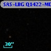 SAS-LBG Q1422-MD128