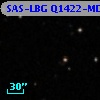 SAS-LBG Q1422-MD131