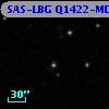 SAS-LBG Q1422-MD132
