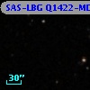 SAS-LBG Q1422-MD134