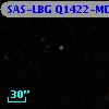 SAS-LBG Q1422-MD144