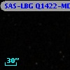 SAS-LBG Q1422-MD163