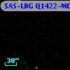 SAS-LBG Q1422-MD168