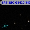 SAS-LBG Q1422-MD169