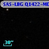 SAS-LBG Q1422-MD218
