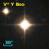 V* Y Boo