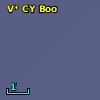 V* CY Boo