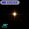 HD 125213