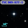 TYC  909-877-1